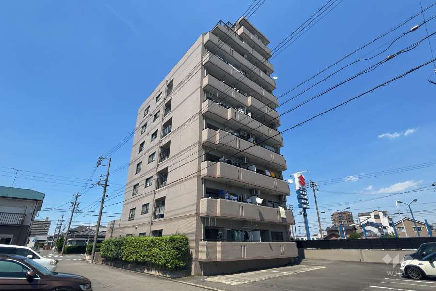 レインボー惟信の外観(南西側から)
