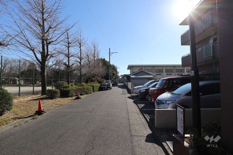 敷地東側の前面道路（北側から）