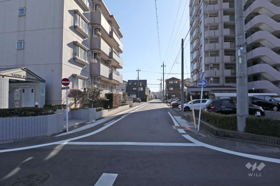 敷地西側の前面道路（北側から）