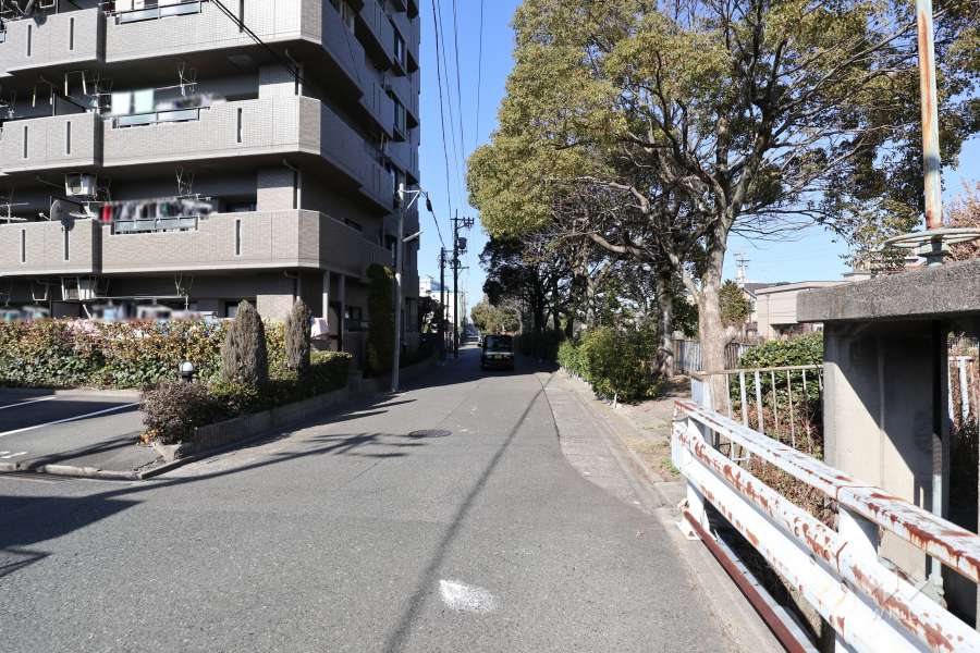 敷地東側の前面道路（南側から）