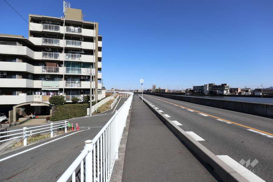 敷地東側の前面道路（南側から）　道を挟んで新川が流れています。