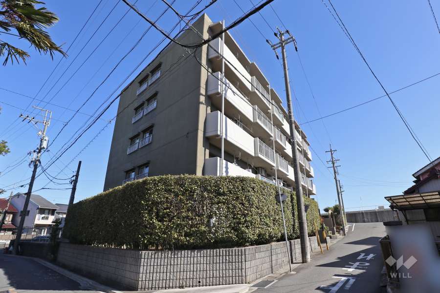 ニューコーポ南陽の外観（南西側から）