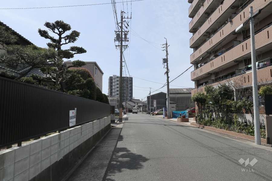 敷地南西側の前面道路（北東側から）