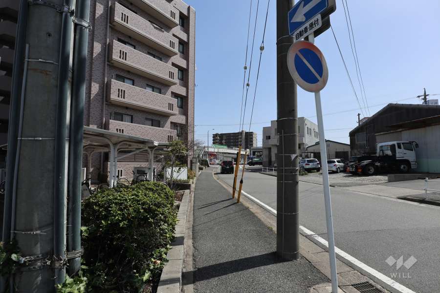 敷地西側の前面道路（北側から）