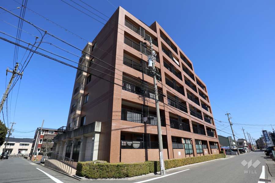 コンセール南陽の外観（南西側から）