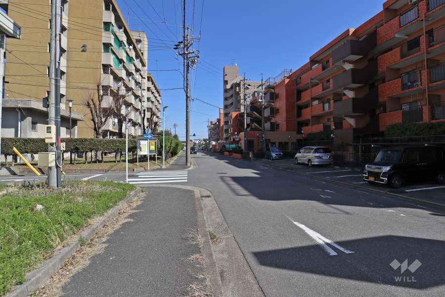 敷地北側の前面道路（西側から）