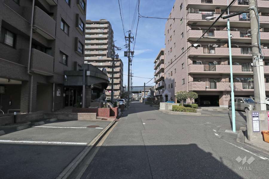 敷地東側の前面道路（南側から）