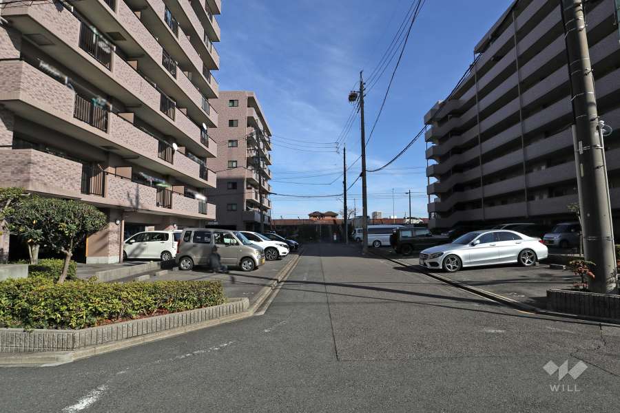 敷地南側の前面道路（西側から）