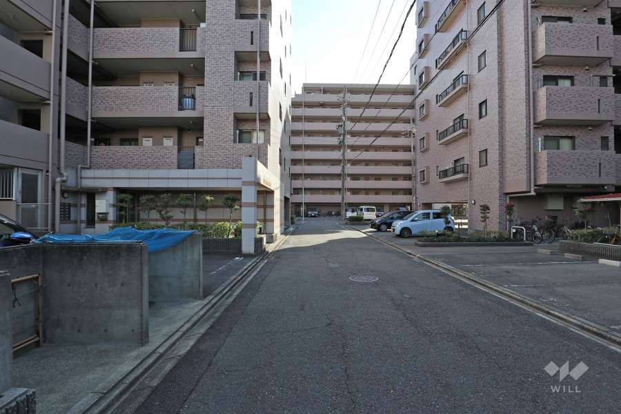 敷地東側の前面道路（北側から）