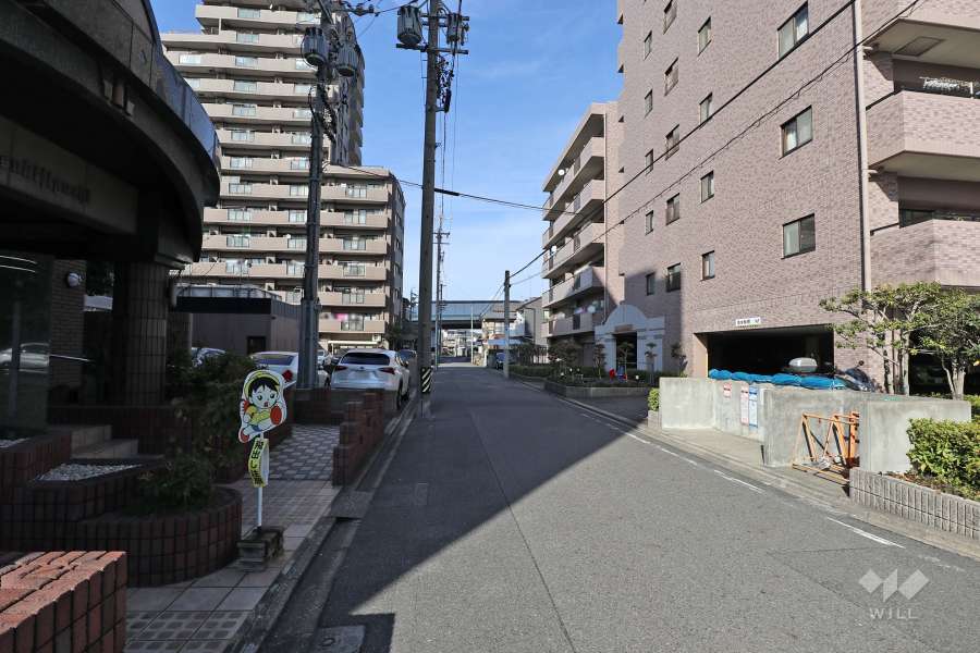 敷地西側の前面道路（南側から）