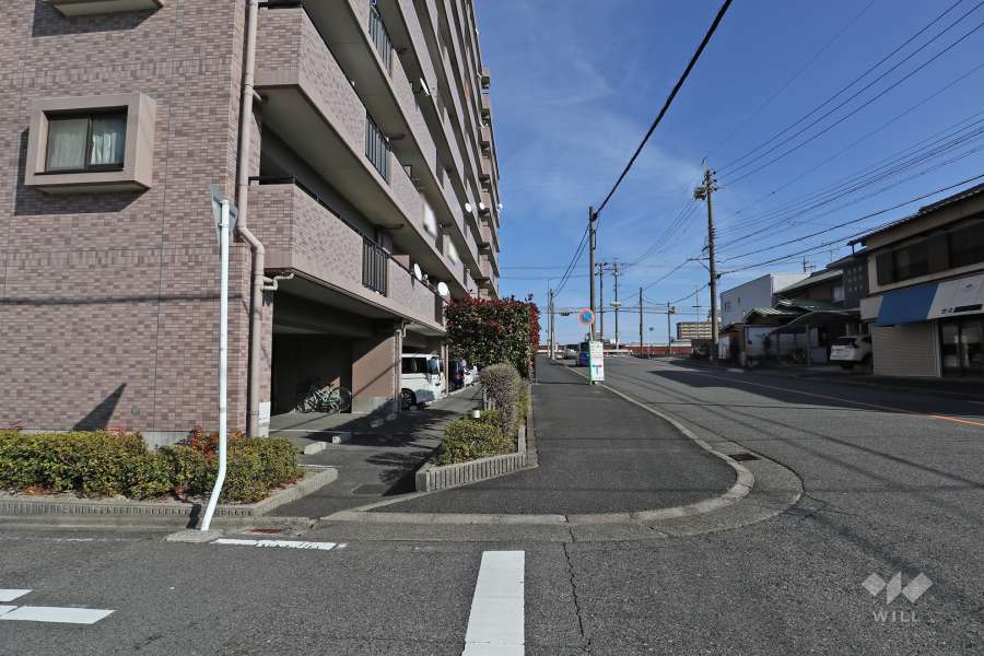 敷地南側の前面道路（西側から）