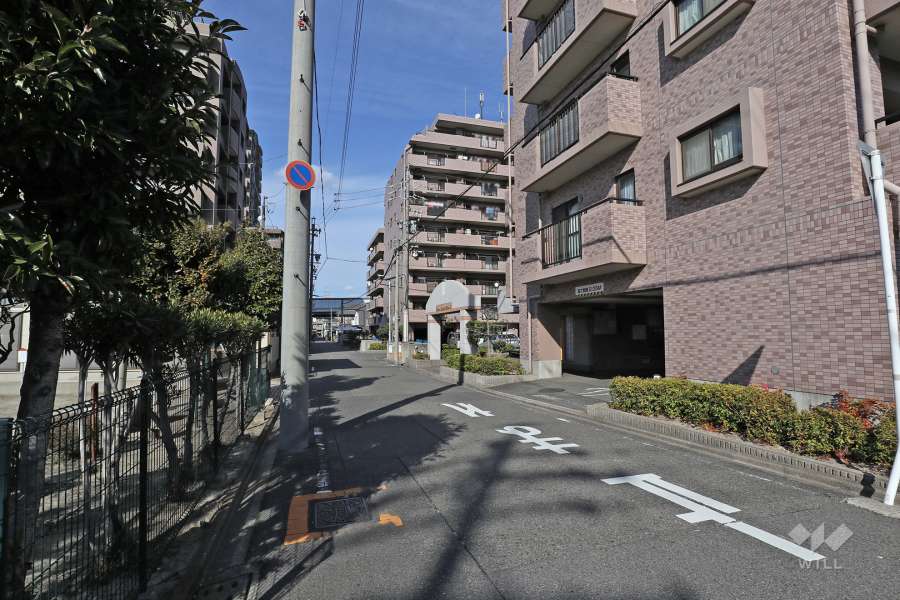 敷地西側の前面道路（南側から）