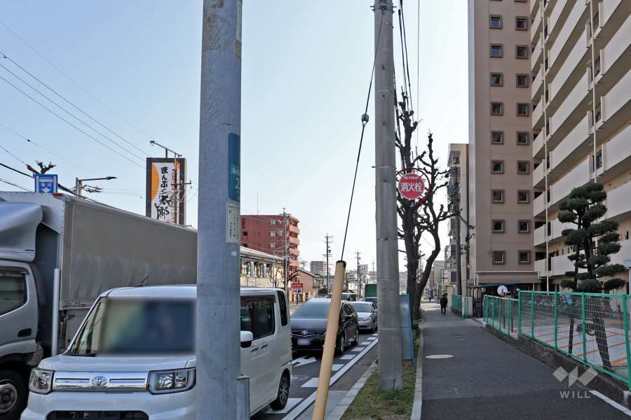敷地北側の前面道路（西側から）