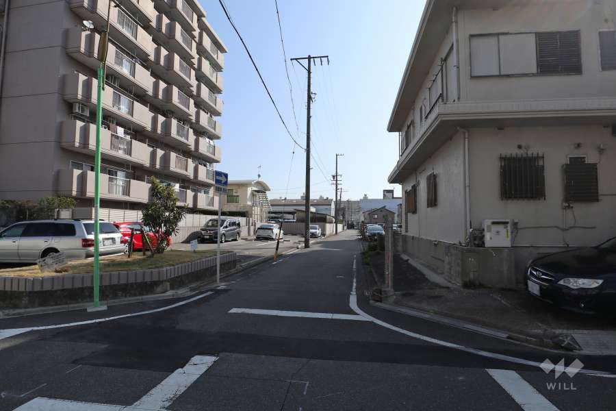 敷地南側の前面道路（西側から）