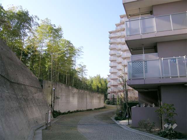 敷地の南側は竹林です。