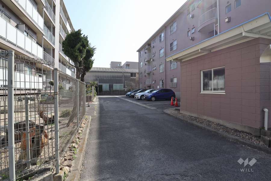 敷地内の通路