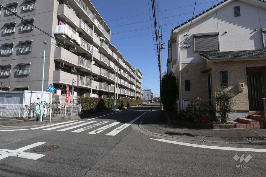 敷地南側の前面道路（西側から）