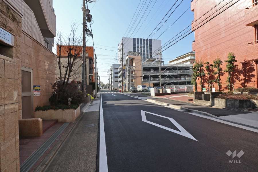 敷地東側の前面道路（北側から）