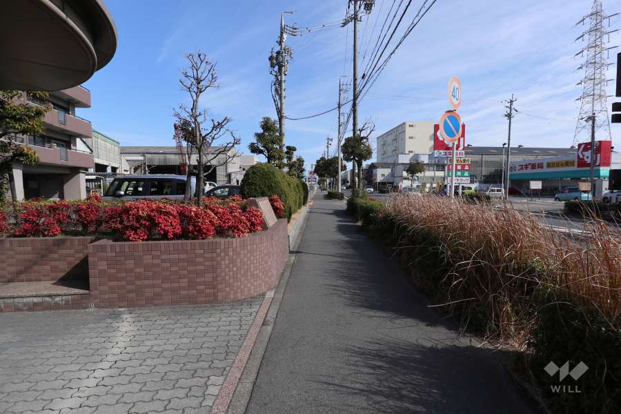 敷地南側の前面道路（西側から）