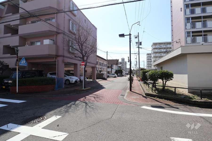 敷地西側の前面道路（北側から）