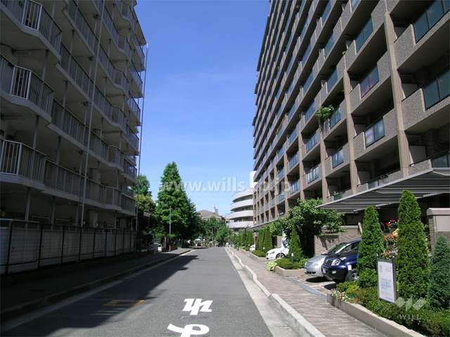 敷地南側の道路