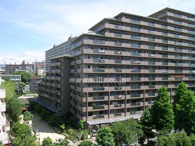 敷地の西側には公園があります。