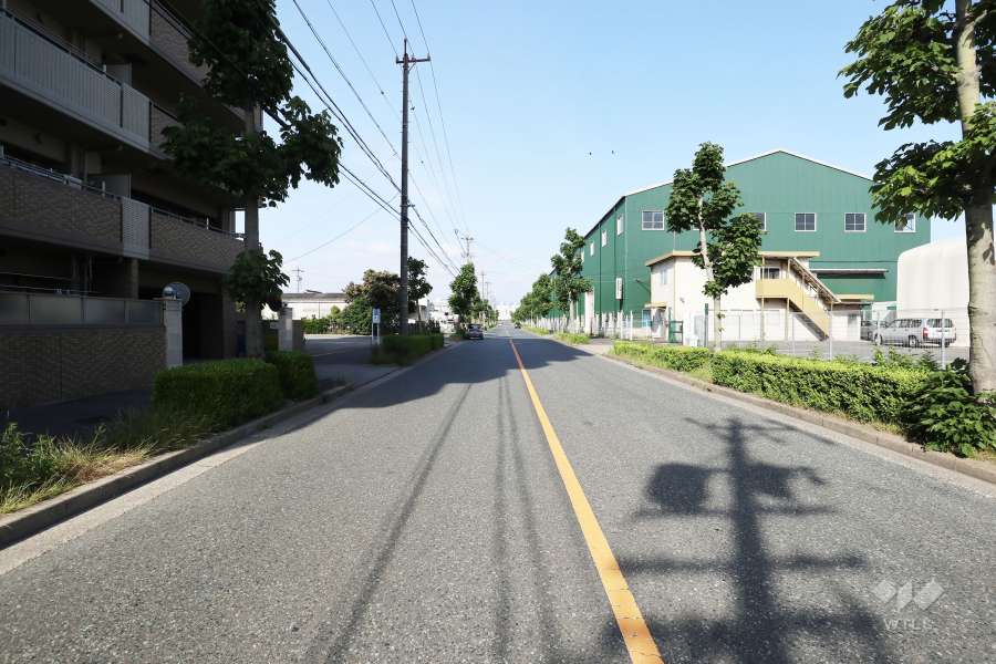 物件の南側前面道路（西側から）