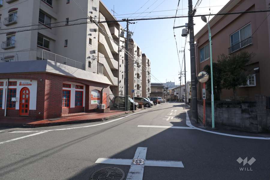 敷地西側の前面道路（北側から）
