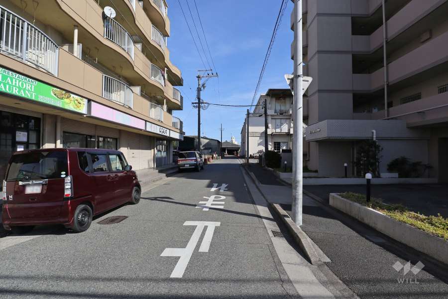 敷地北側の前面道路（西側から）