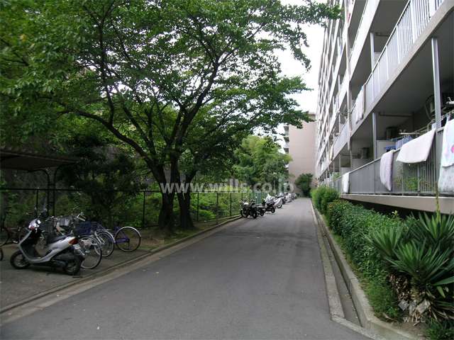 千里一条池スカイハイツC棟の敷地南部分