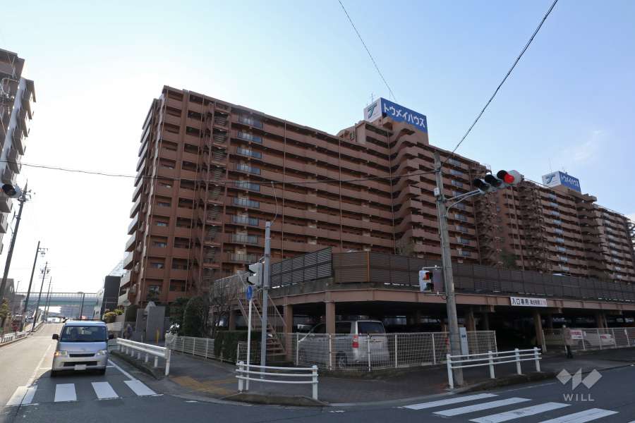 スペリアシティ名南アネックス5の外観（北東側から）