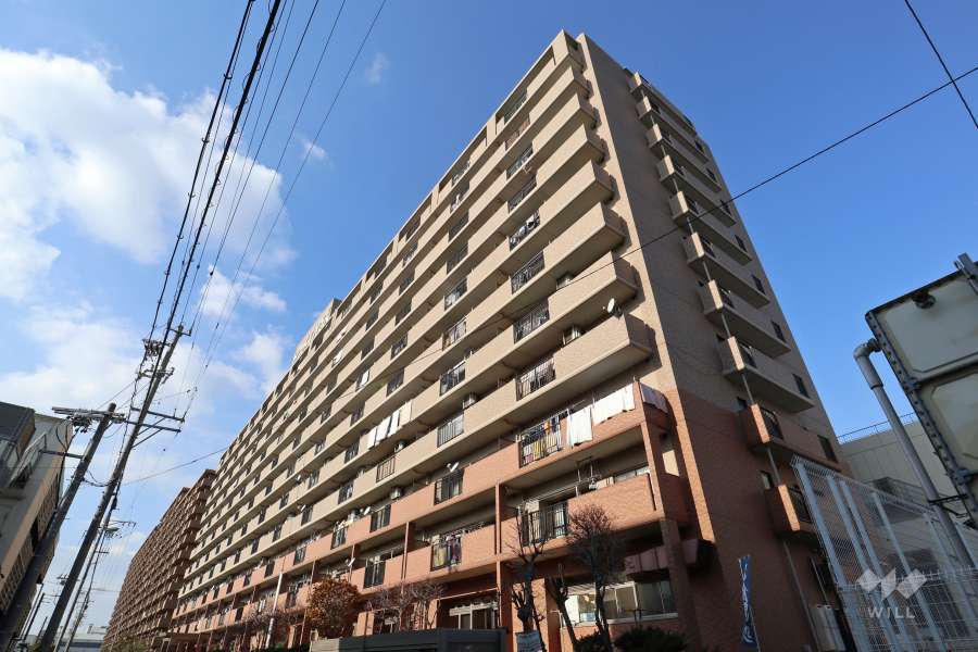スペリアシティ名南アネックス6の外観（南東側から）