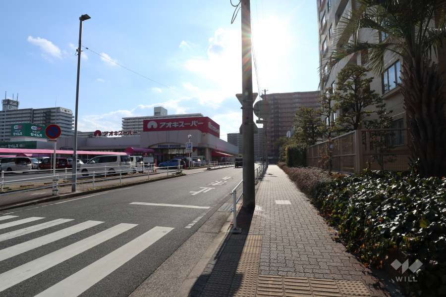 敷地南東側の前面道路（北東側から）