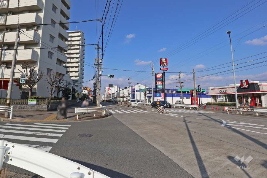 敷地東側の前面道路（県道225号名古屋東港線）
