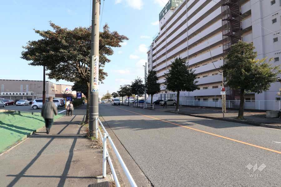 敷地北側の前面道路（西側から）