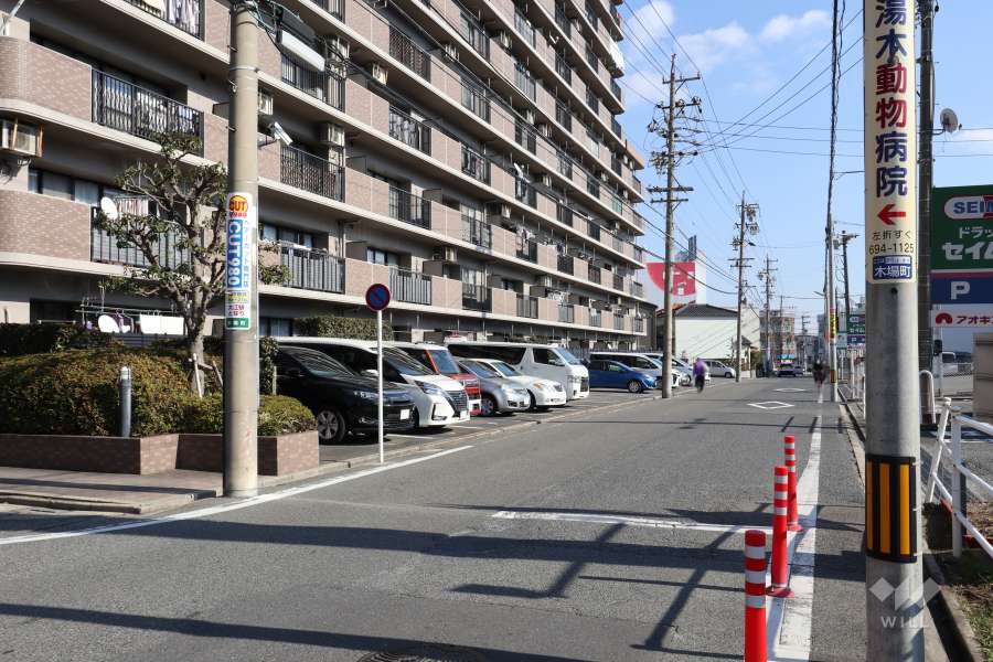 敷地南側の前面道路（西側から）