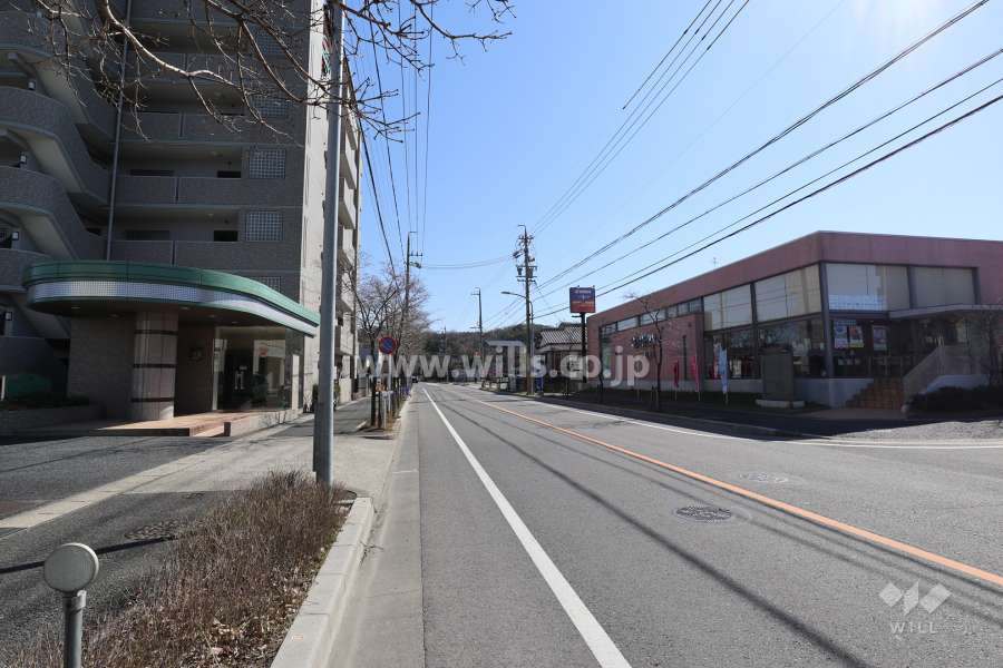 敷地の西側前面道路（北側から）