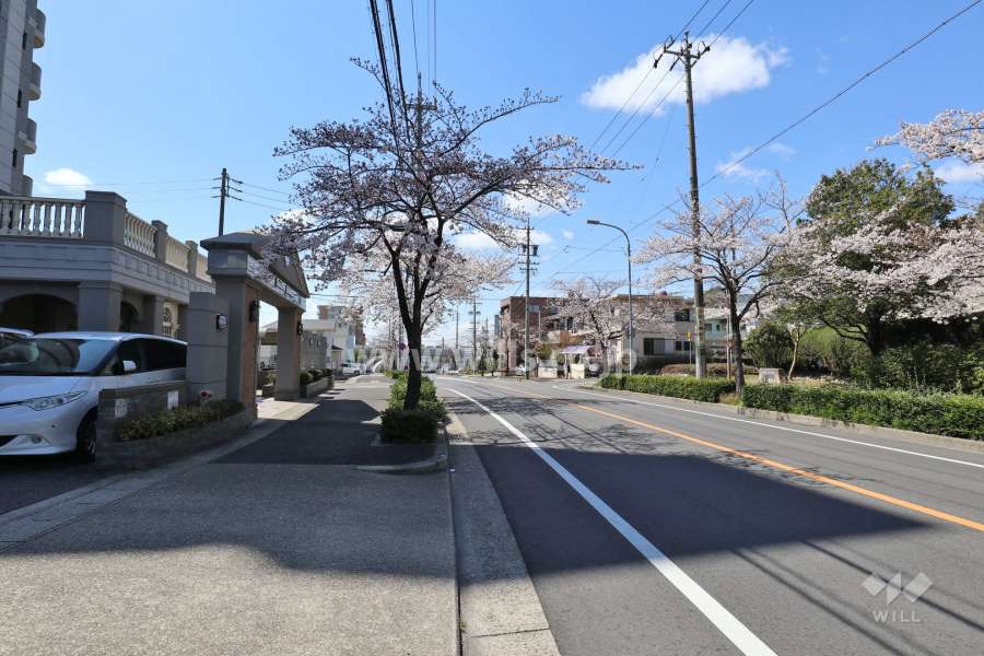 敷地の北側前面道路（東側から）