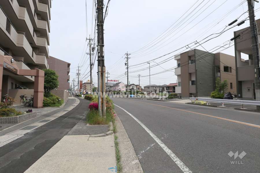 敷地南側の前面道路（西側から）