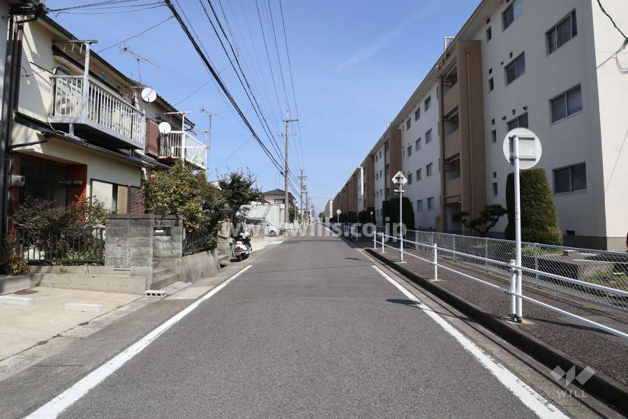 敷地北側の前面道路（西側から）