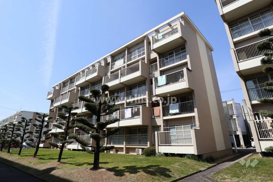 大森東住宅12号棟の外観（南東側から）