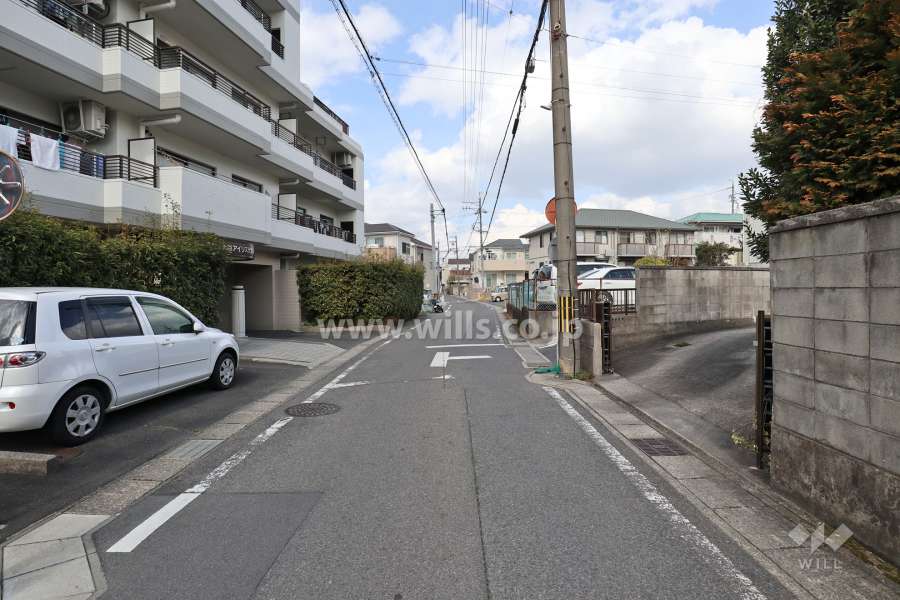 敷地の東側前面道路（南側から）