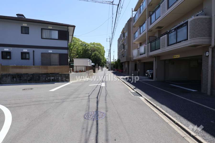 敷地東側の前面道路（北側から）
