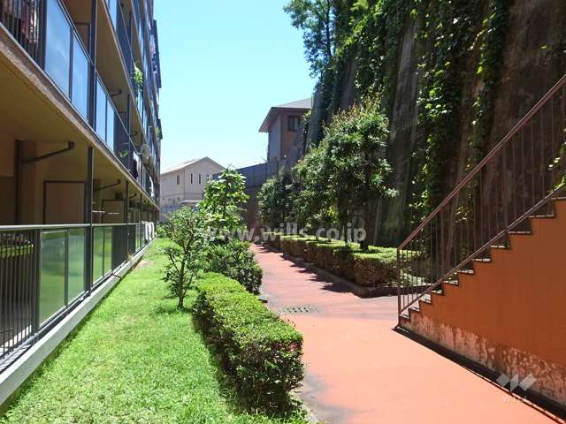 敷地内の植栽スペース