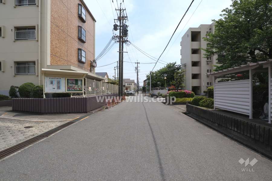 敷地西側の前面道路