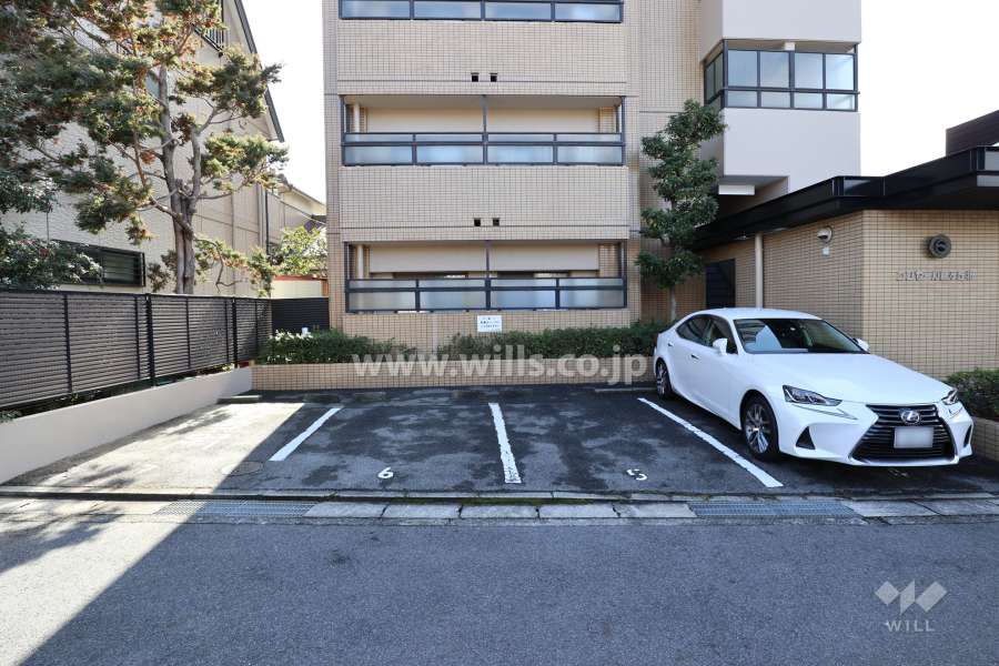 敷地内駐車場（屋外平面式）