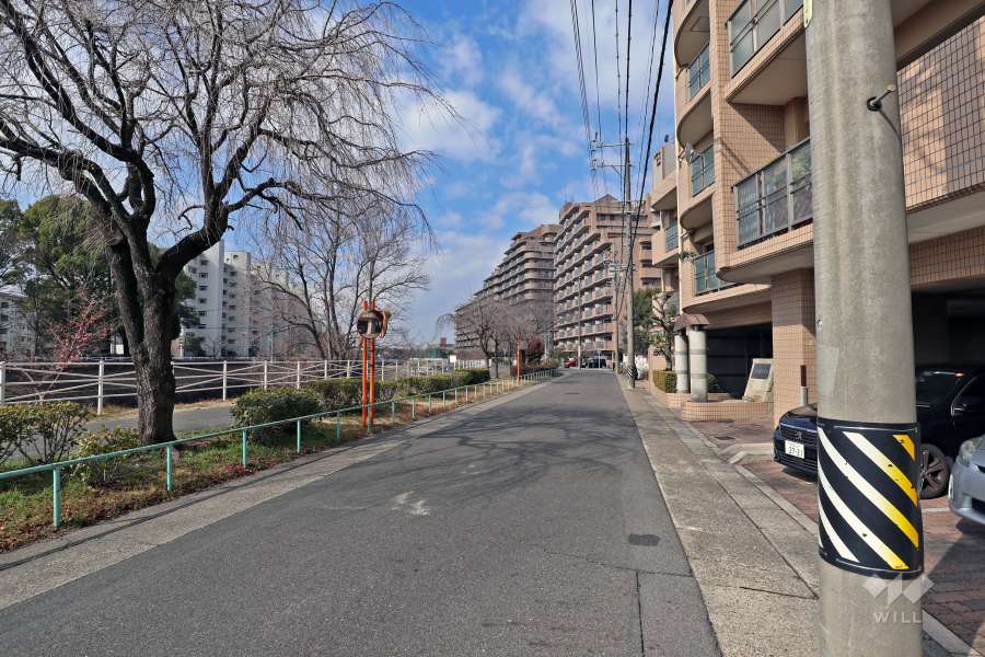 敷地南側前面道路は、香流川沿いの並木道が続いています。