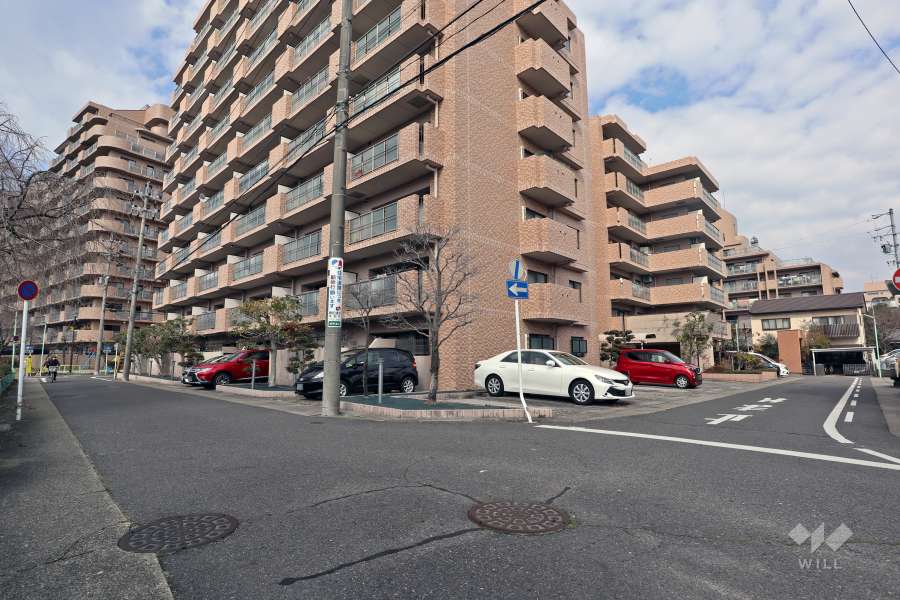 敷地南側前面道路と東側道路