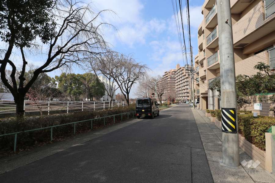 敷地南側の全面道路（東側から）