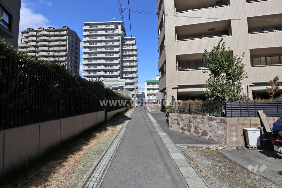 敷地西側の前面道路（南側から）